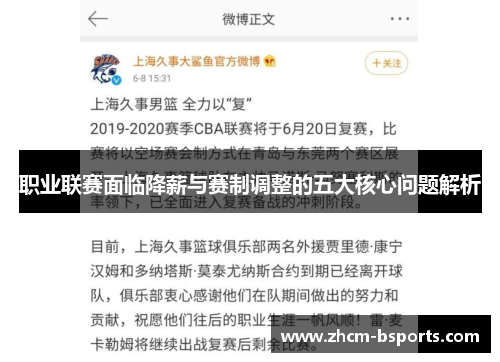 职业联赛面临降薪与赛制调整的五大核心问题解析